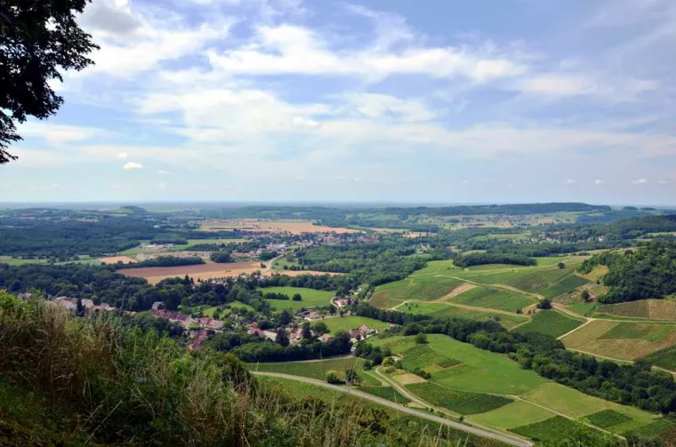 Conseiller immobilier pour estimation d'un terrain constructible en campagne de 300m², Puget-Théniers, Patricia Tourais